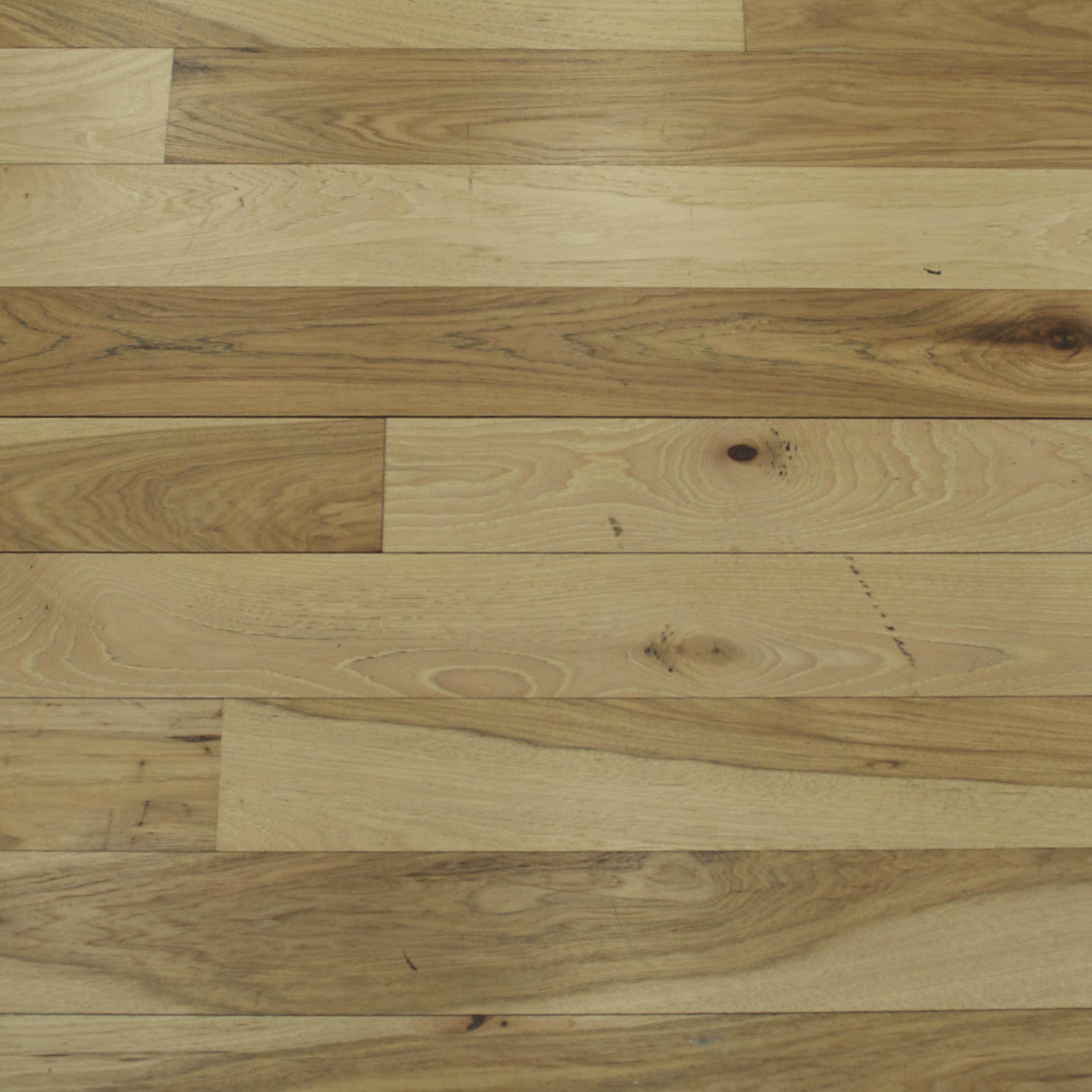 Hickory character grade sample